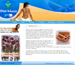 dietmaxxinternational.com